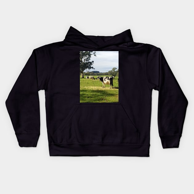 Holstein Friesians - Dairy Cows - photography by Avril Thomas Kids Hoodie by AvrilThomasart